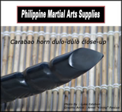 Dulo-Dulo Carabao Horn - Close up